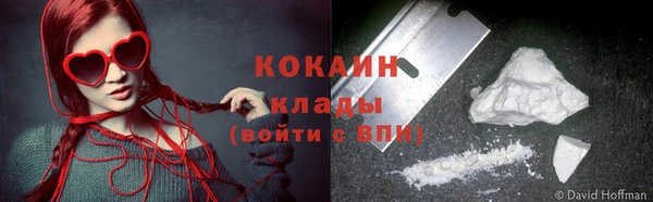 хмурый Алексин