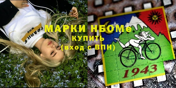 хмурый Алексин