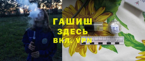 хмурый Алексин