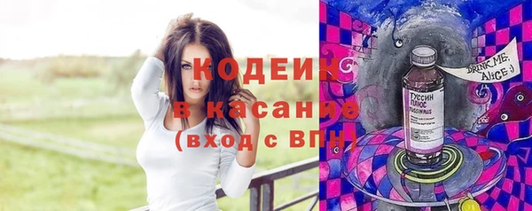 хмурый Алексин
