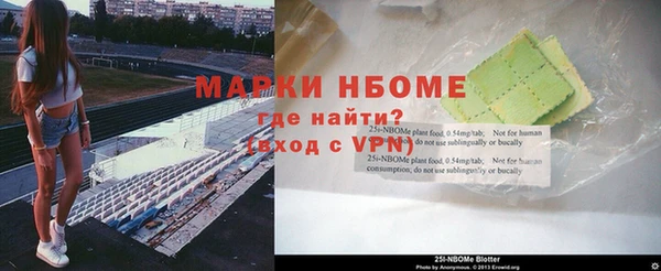 хмурый Алексин