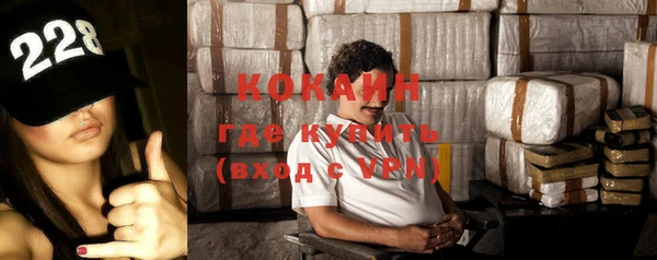 хмурый Алексин