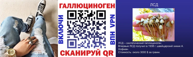 нарко площадка как зайти Ардатов Галлюциногенные грибы Cubensis